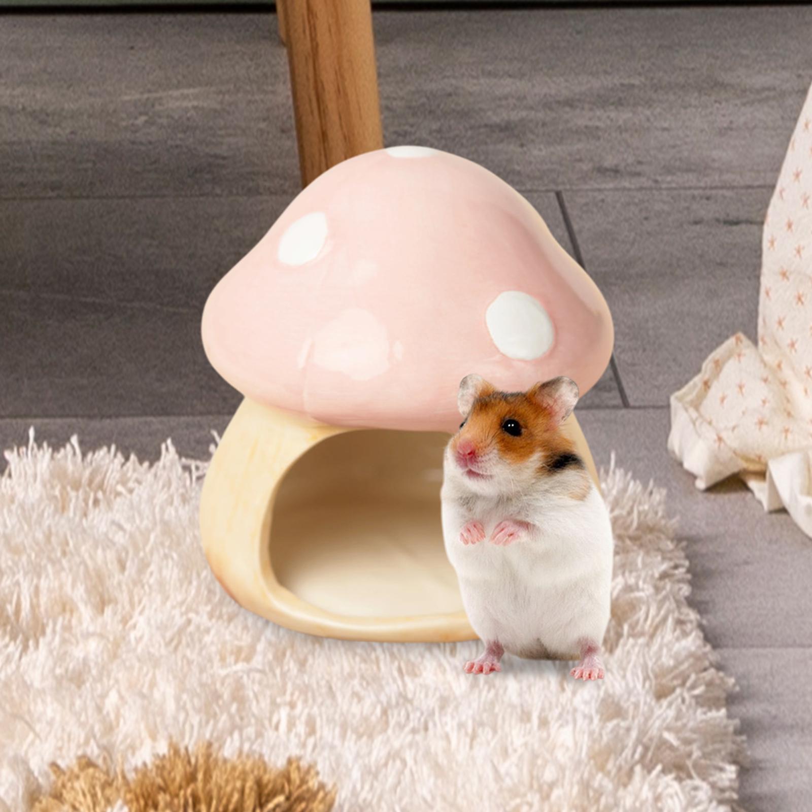 Ceramic Mushroom Hamster Hideo - Hide Cave Ceramic reseña y precio