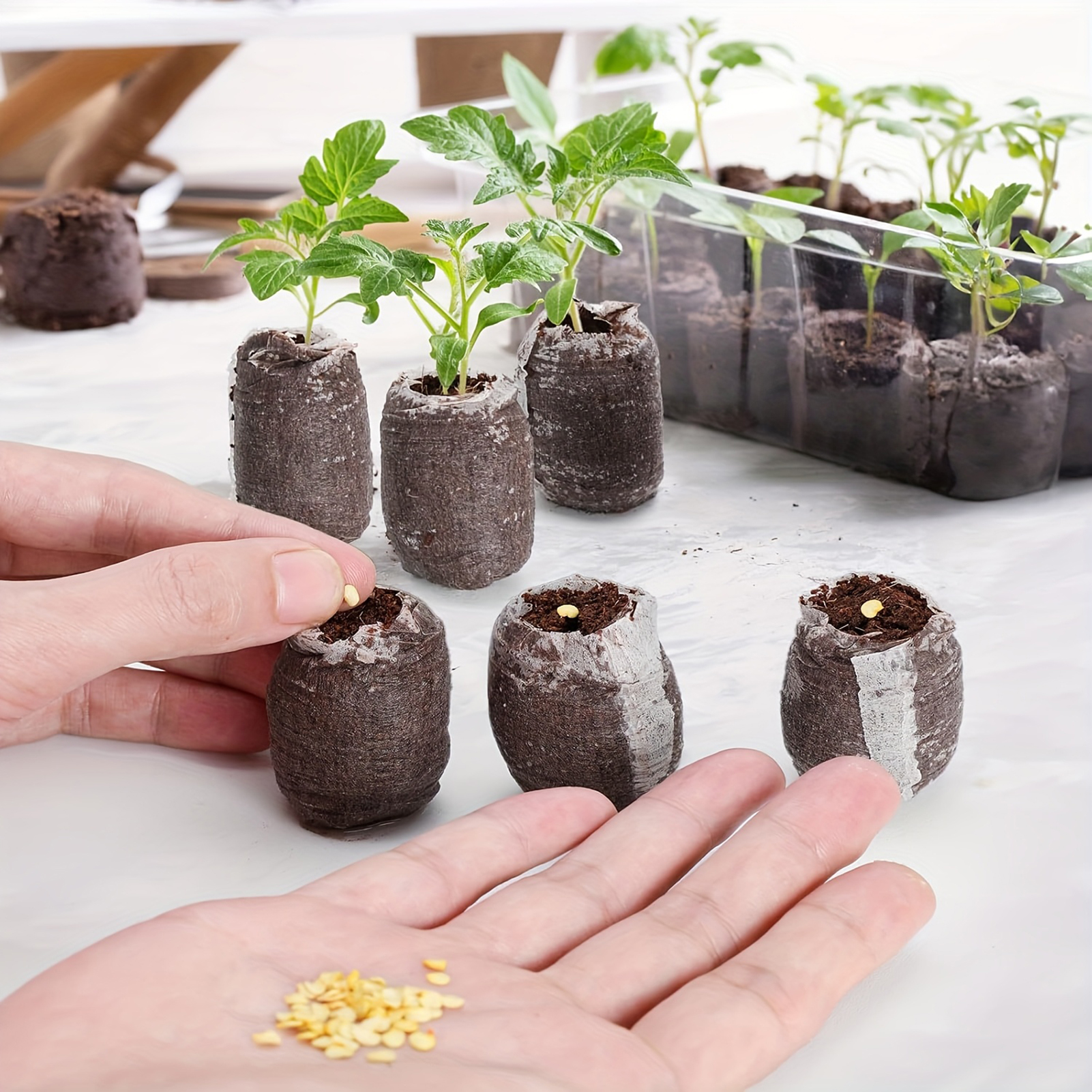 10/20/50pcs Plant Growth Bags  - Substrate Coconut Fiber reseña y precio