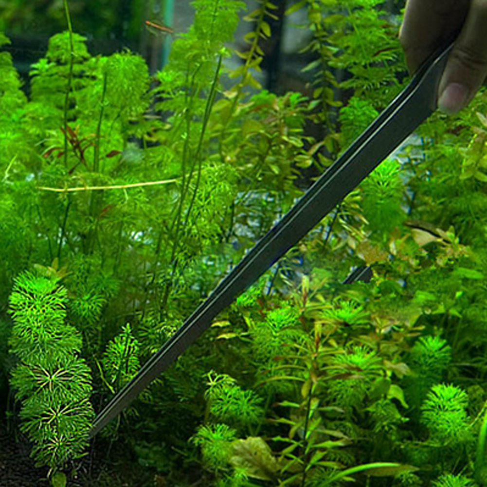 10.5 Inch Reptile Feeding Tong - Feeding Tong Stainless reseña y precio